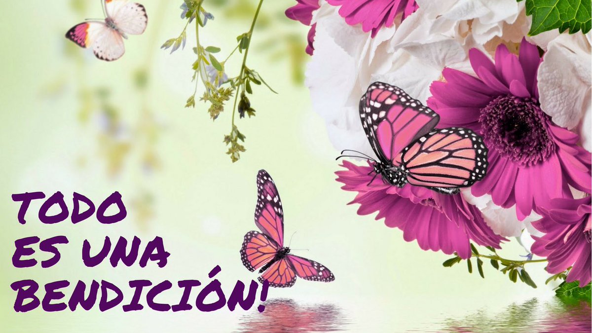 ConMDeMujerSM's tweet photo. #TodoEsUnaBendición es el nuevo escrito de #ElBlogDeMaritzaRodriguez 
Pueden leerlo en https://t.co/94ms0evC3k #AmarEnConciencia https://t.co/YZfQuC5z0y