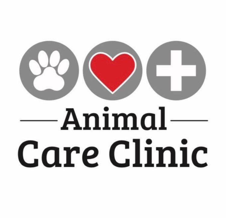 CommonRoot_'s tweet photo. Thanks to Animal Care Clinic for sponsoring #FallForPride 2017!
Find their booth w/ doggie goodies on Sun, Oct 8th, 1-5 pm at Antelope Park https://t.co/1A877ui435