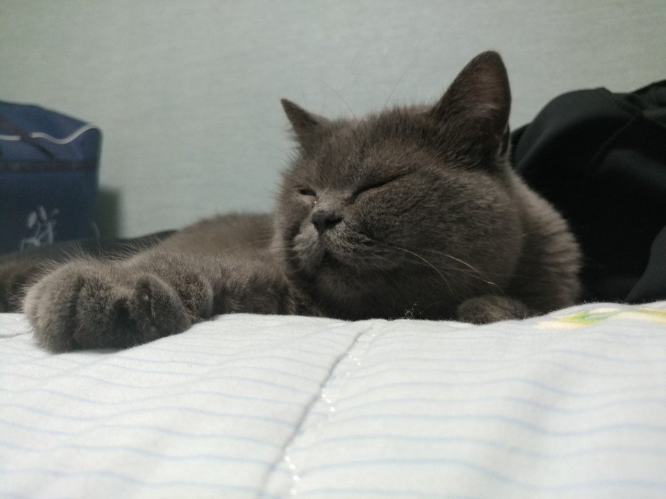 Bap_bird's tweet photo. 아 손으로 뺨맞고싶다.. https://t.co/E4OOekV80r