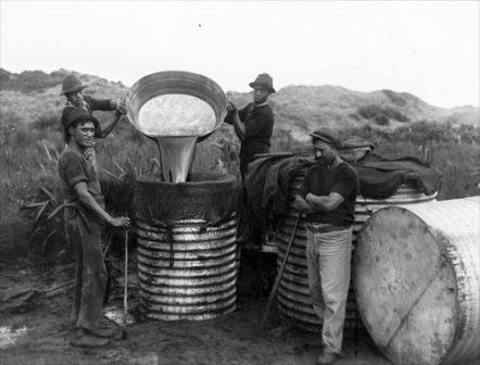 MeinekeCommerce's tweet photo. #DidYouKnow whale oil was actually used in some car transmissions until 1973! 😱 🐋 #FunFact https://t.co/wGpm4RzFa3