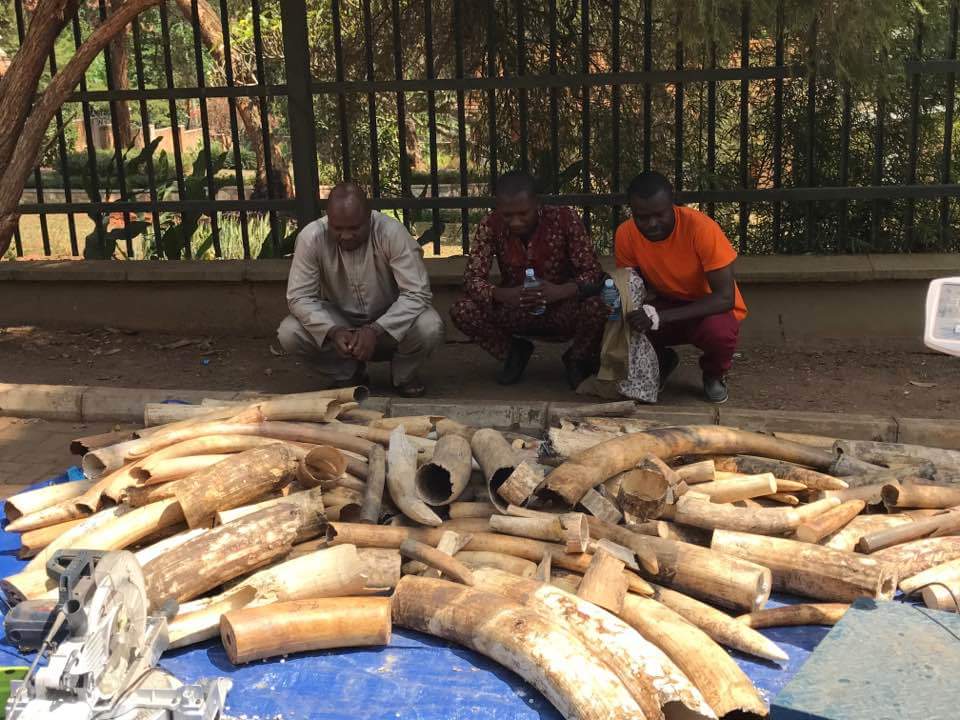 Explore Uganda 🇺🇬 tweet media