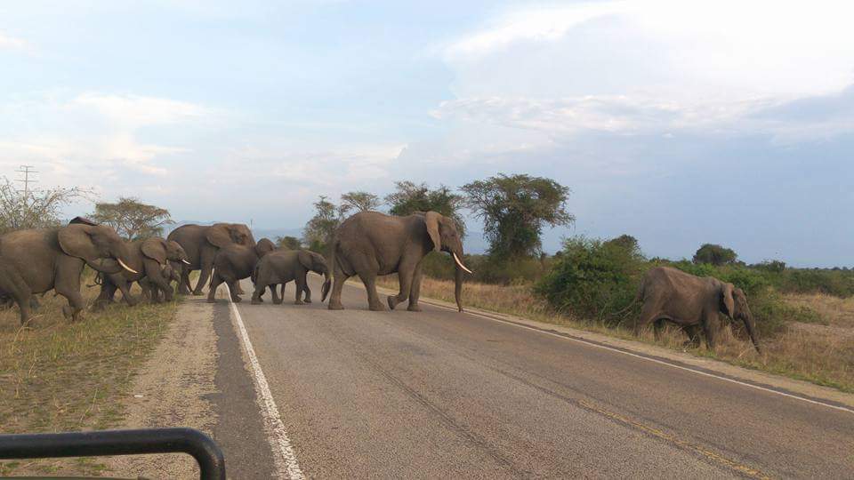 Explore Uganda 🇺🇬 tweet media