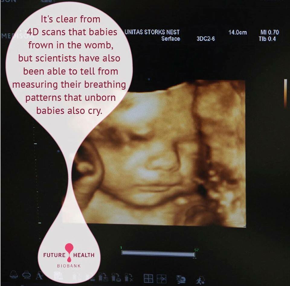 FutureHealthLB's tweet photo. #Future_Health_Biobank #Lebanon https://t.co/E5OGwFhVpj