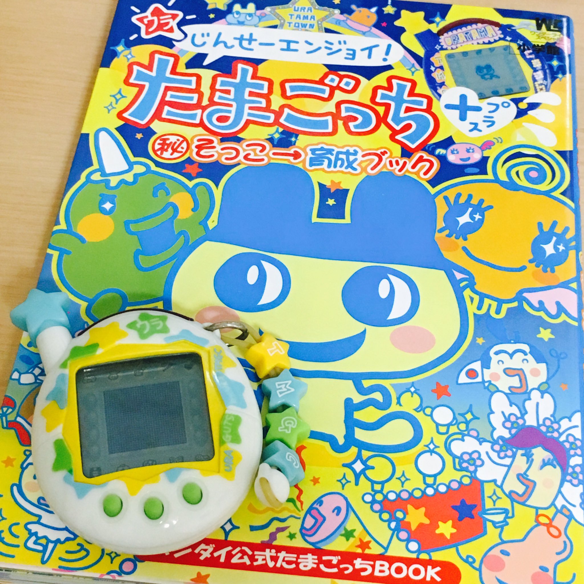 はるち たまごっち 在 Twitter 上 ドタバタしつつも ウラたまも始めてました いまウラやんぐめめっち ウラめめっちになれ たまごっち ウラたま T Co Ynjauor9me Twitter