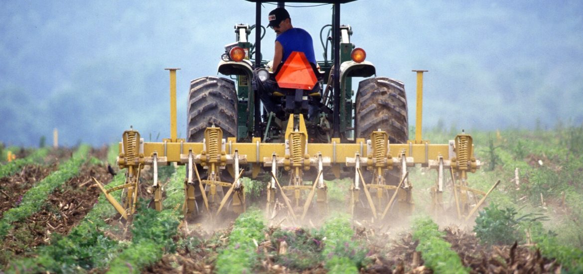 cambialaterra's tweet photo. #pesticidi prima causa malattie agricoltori: +43% morbo Parkinson, donne più colpite. #StopGlifosato @BeaLorenzin https://t.co/xndCqIXRHa https://t.co/4EJAQwkbwj