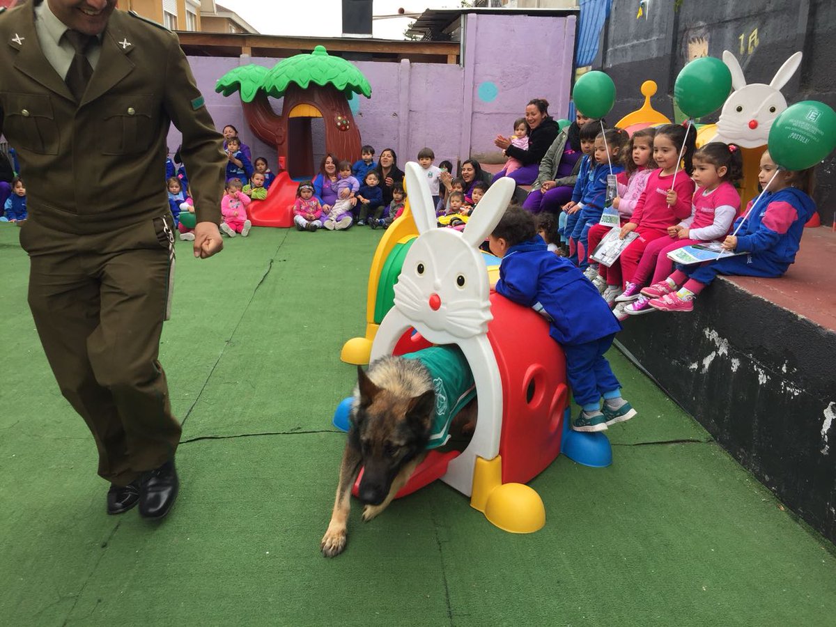PerrosSec's tweet photo. Siguen las visita a colegios .jardines y otros,,GUIA Y CAN,juntos son un gran equipo @Carabdechile @BPA_Chile @AnimalParaiso https://t.co/zwneaQ1W3n