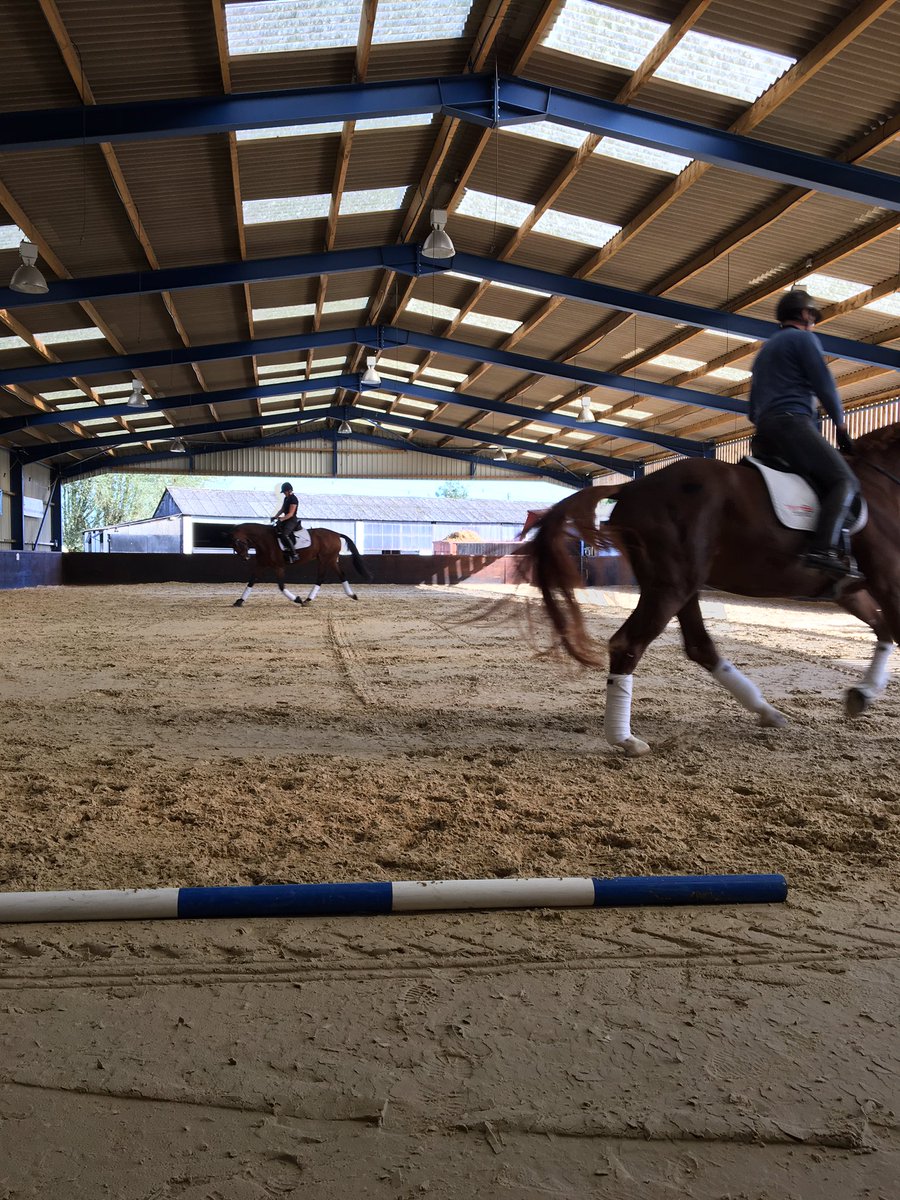 strizley7's tweet photo. Another great demo @TeamHayler to start a Tuesday #training #dressagehour https://t.co/3Y1ONqxinq