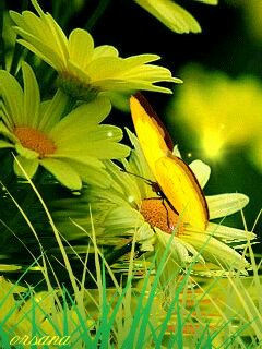 Angel51Anael's tweet photo. @HassCho @Marcuinos @AnabellaRojas53 @aniluna8a @maryunfuhrer @perlanegra24100 @martinpineda06 @512i1122 @sw_bea @guadalupe1108 @RamBecks @SandraLuzAguirr @ArcangelCDMX2 @1807Doris @AgustnArcos @Esme07G @CoChappe Gracias por ser la mejor banda twitera del mundo 😇😇😇😇 https://t.co/CEKT6CAVf5