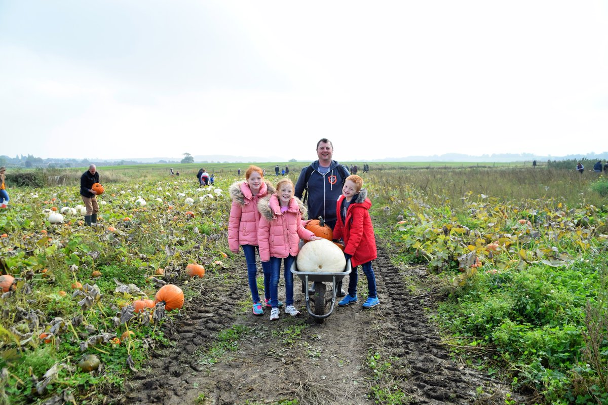 The pumpkin festival will open 10.00-4.00pm this weekend 7 &amp; 8th October @farmercopley (50p discount on pumpkins this weekend).