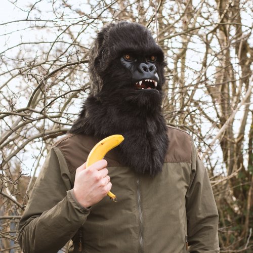 Take your #Halloween costume to the next level with one of our realistic Mr Gorilla Masks! 🦍🍌 ow.ly/Bvrq30fzDkZ