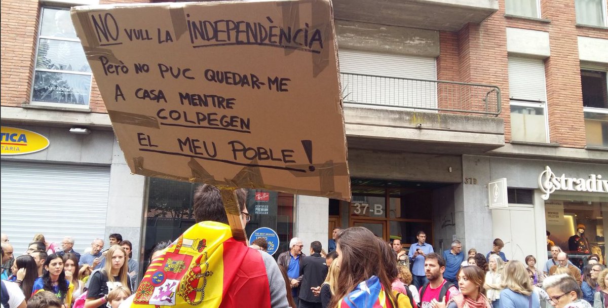 3CatInfo tweet media