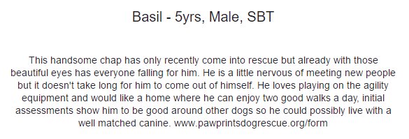 PDRescue's tweet photo. 💜BASIL💜

https://t.co/K8AniJU1vO

https://t.co/mrlsnhtNP6

@PawprintsAnita @TrishaShaw @UKRescueDogs @Penny2449 @rugbyadv @biltonvets https://t.co/z3nv9gQhBJ