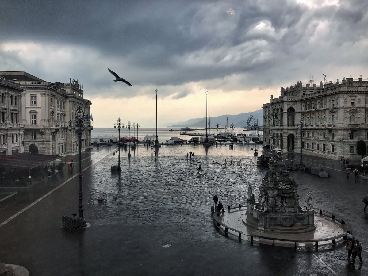 MicheleDaCol's tweet photo. Un consiglio comunale con vista che grazie a @ComunediTrieste e @FAI_FVG sab. 7/10 turisti e cittadini prenotatisi potranno vedere #Trieste https://t.co/A1B9495wsG