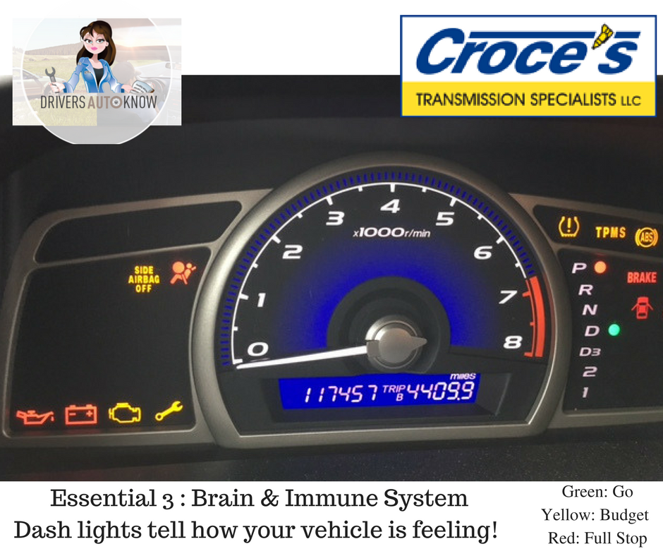 Essential 3 is Brain and Immune System. Look at all the colors of the icons! #WAK #DAK #AUTOAWARENESS