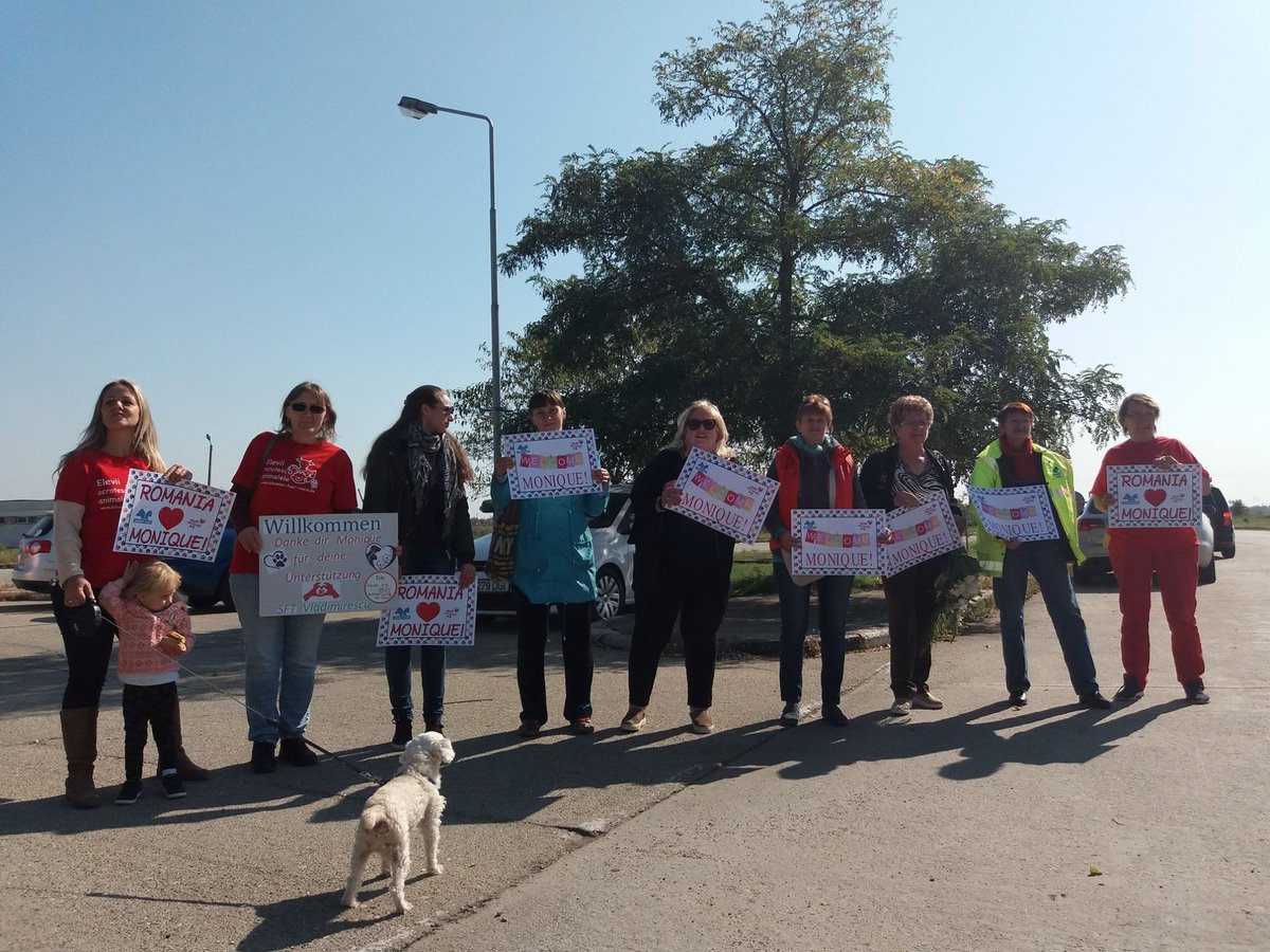GinaDeBoer56's tweet photo. #Roemeense autoriteiten verbiedt Monique naar #Boekarest te lopen vanwege veiligheid van Monique en de honden #WalkforDogs .nl #animed_Arad https://t.co/LHTjPTNOin