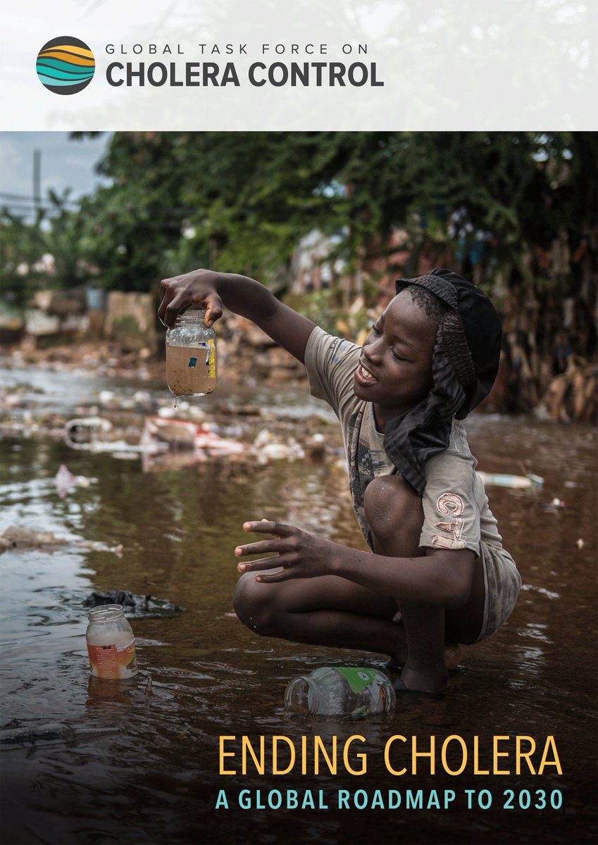 World Health Organization (WHO) tweet media