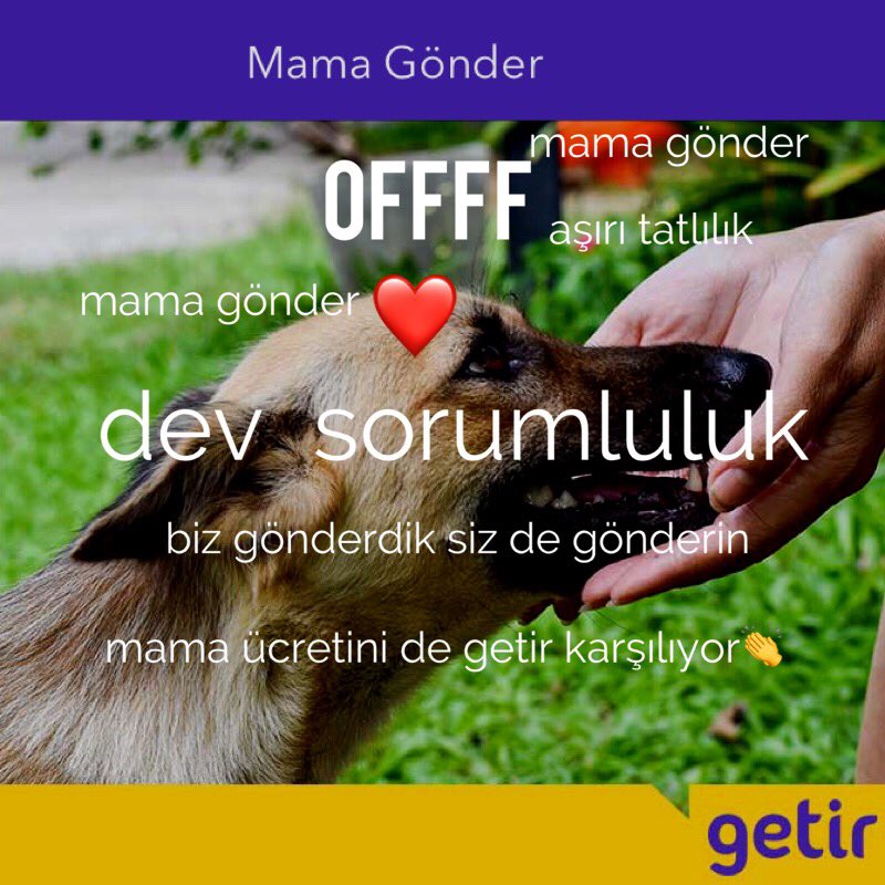 offffcok's tweet image. 🐾🐾👏