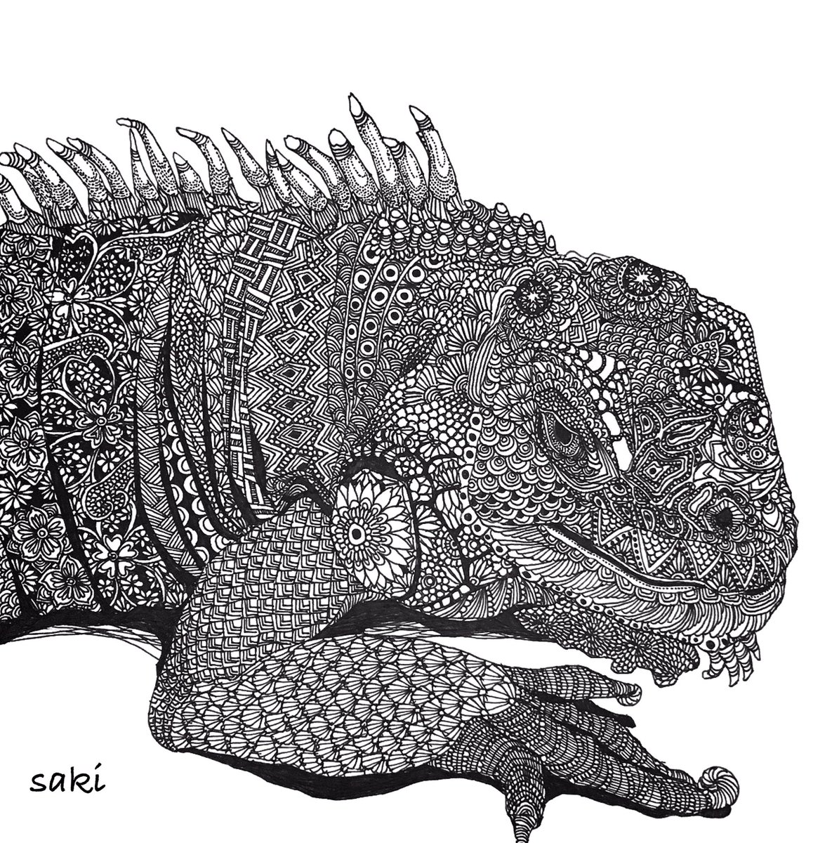 Saki ボールペン画アーティスト イグアナさん T Co Xzoyr1rtgu イラスト 爬虫類 イグアナ Illustration Reptile Iguana