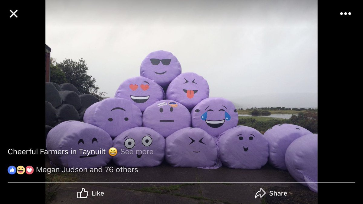 HI_Voices's tweet photo. Taynuilt farmers #Emoji #farminghumor #funny https://t.co/4cuFJXQbZ4
