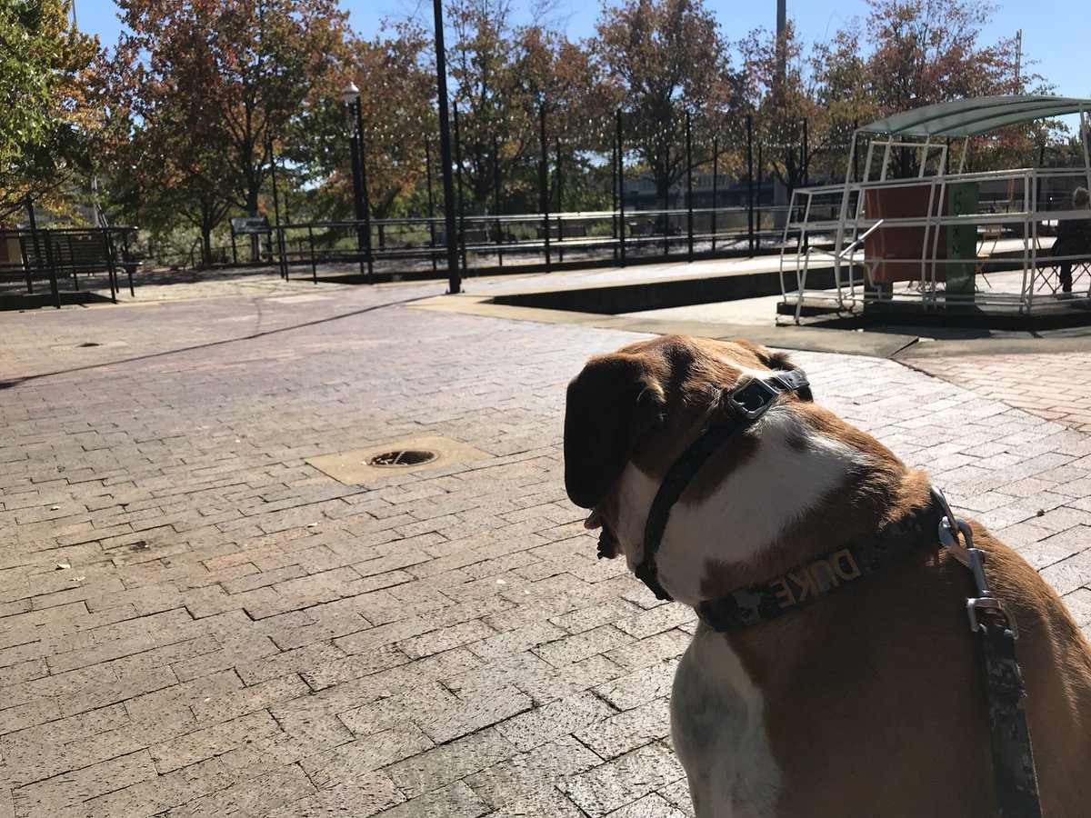 EverydayAkron's tweet photo. Lots of people out enjoying this afternoon on the tow path and at #Lock2 #summitpeeks https://t.co/1PLxj8ZsHn
