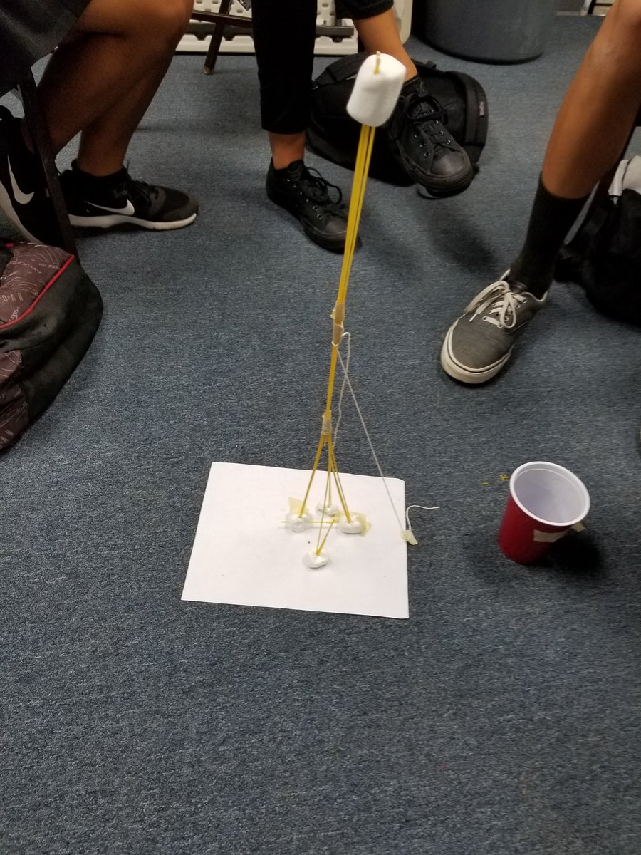 N_Williams5's tweet photo. Learning about teamwork in Life Skills today. #msasdonaroll https://t.co/G0KrCRc0nt