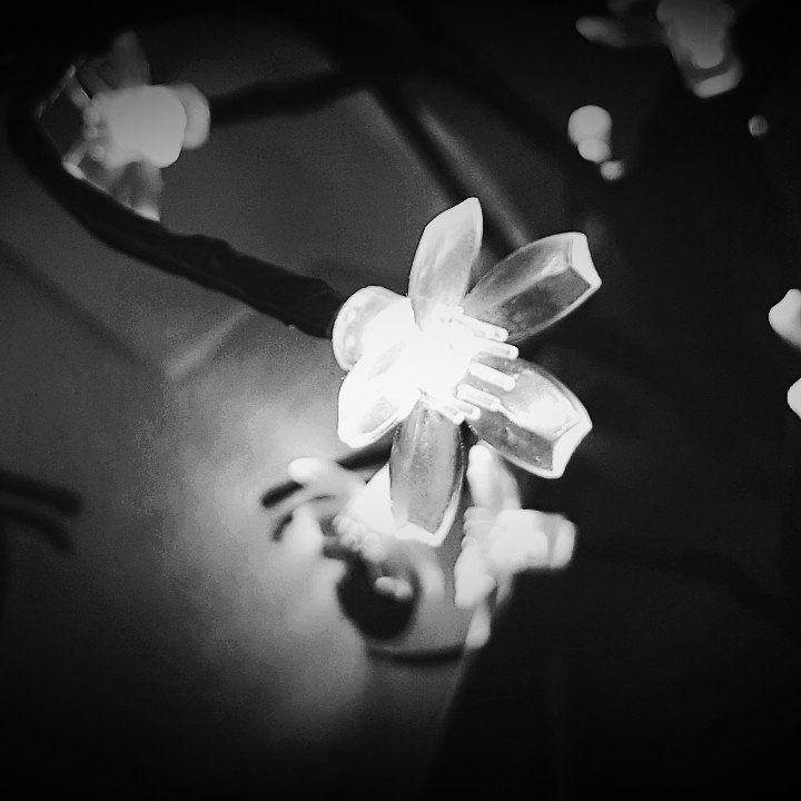 SarahElliotAuth's tweet photo. #sevendays #blackandwhitephotography #challenge #noexplain #day2 https://t.co/z8Nj3K06SM
