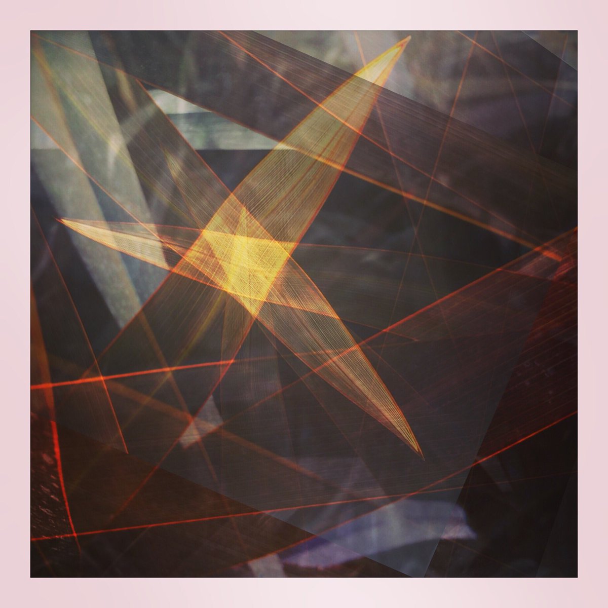 Craigmorris101's tweet photo. #iPhone Plant inspired multiple exposures from the nursery. https://t.co/kV1QZ3DmZw