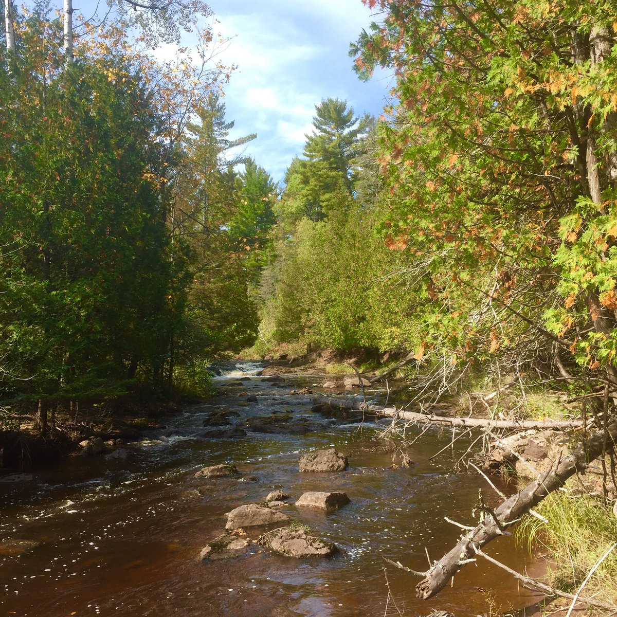 Ever wanted to live in paradise? Farm for rent! duluth.craigslist.org/apa/d/beautifu…