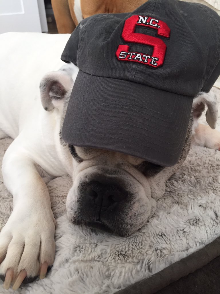 atdrunkcarl's tweet photo. @StacyGSG @StacyGSG sports are exhausting https://t.co/FE8c2Juuk2