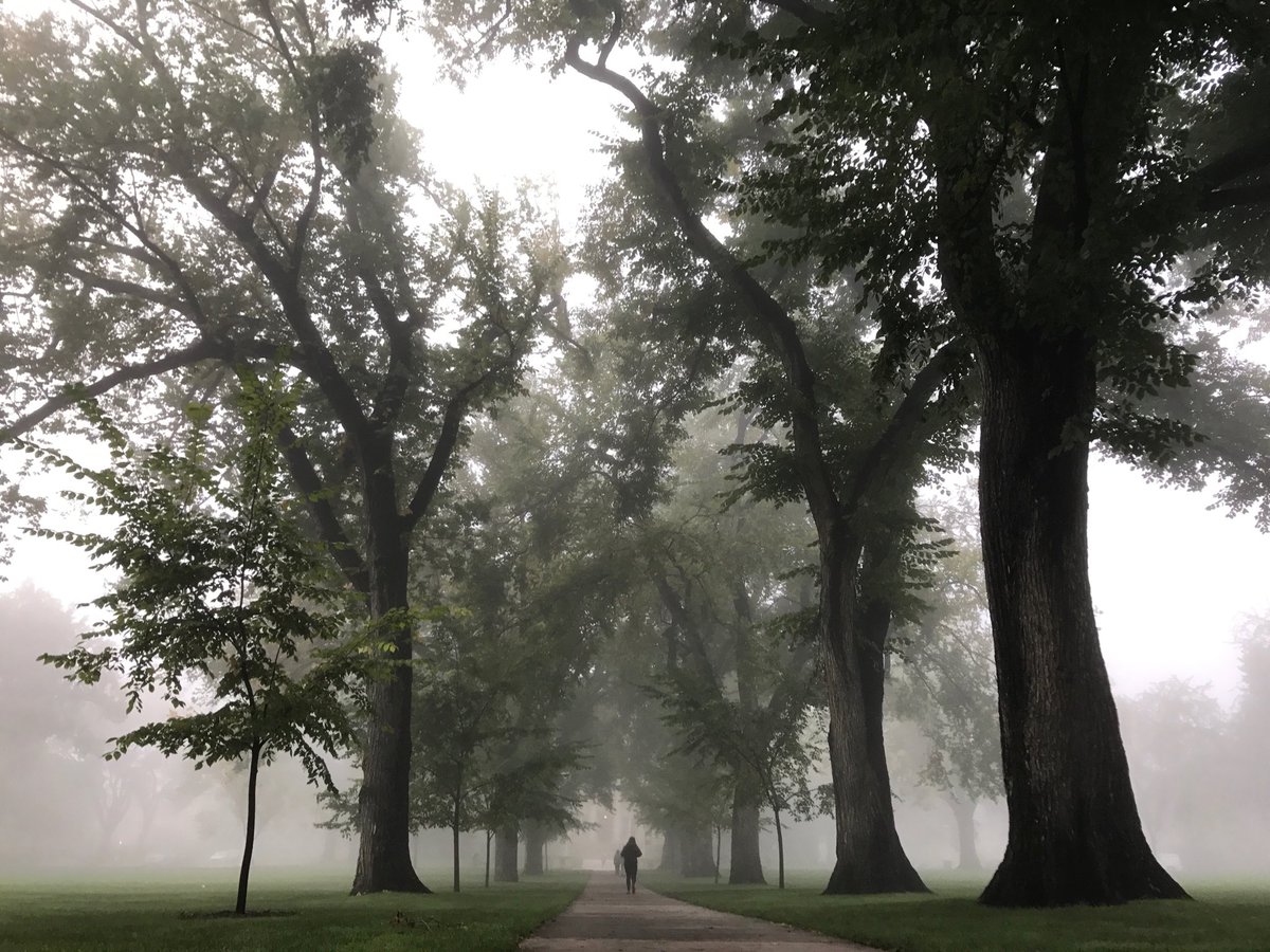 Fog rolls through Ram Country this morning ☁️