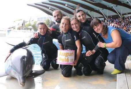 #Pelé festeggiata a <a href="/Oltremare_RN/">Oltremare - Riccione</a> <a href="/zingrillo/">francesco zingrillo</a> smtvsanmarino.sm/cultura/2017/1…