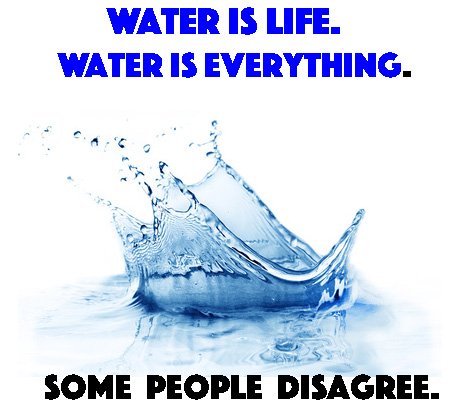 EndFluorideNow tweet picture