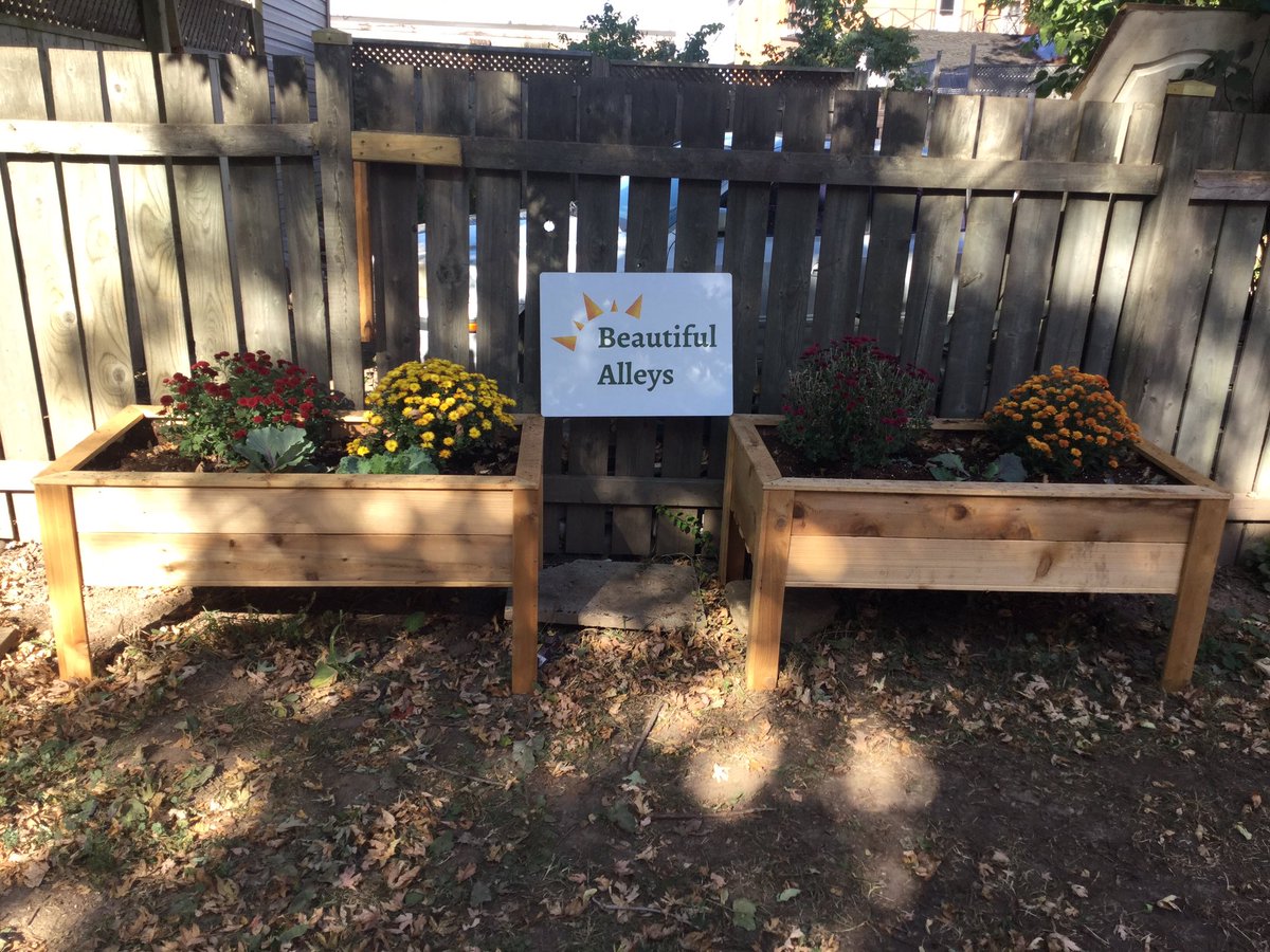 BeautifulAlleysHamON tweet media