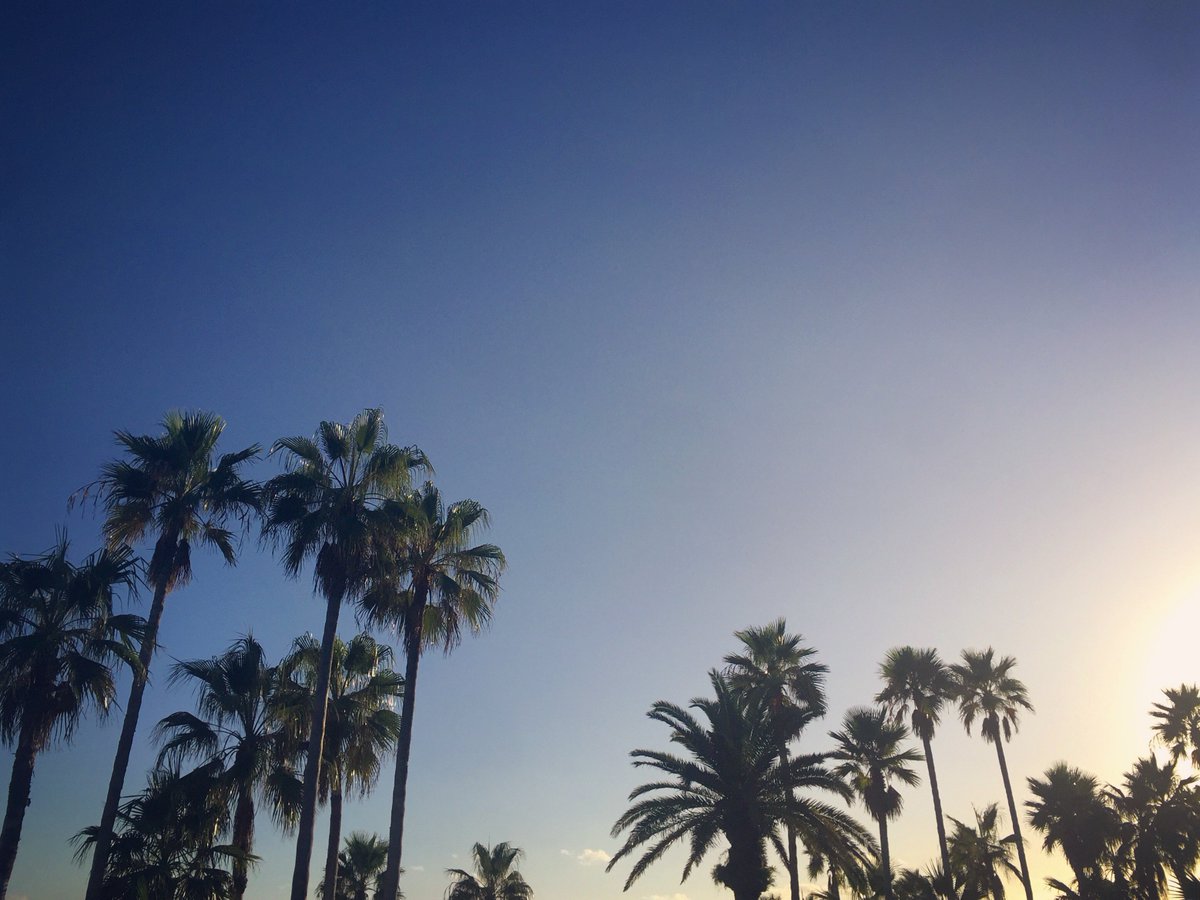 fairmontsouth's tweet photo. What a Bermudaful afternoon... (photo taken on Oct 2, 2017) @Bermuda #bluesky #gotobermuda #island #paradise #vacation #palmtrees https://t.co/W1KhX2MbSF