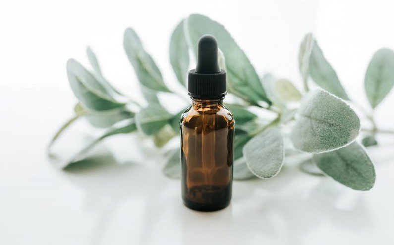 hellocoton's tweet photo. Pour démaquiller ou apaiser la peau, hydrater ou faire pousser les cheveux : 11 raisons d'adorer l'huile de jojoba 🌿 https://t.co/XhCY8ybt6W https://t.co/CmDJDPDHxI