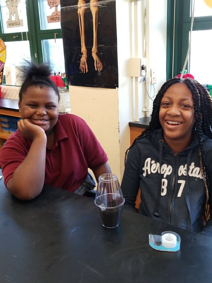 4-311 created Terrariums to facilitate a greenhouse effect for germination of seeds