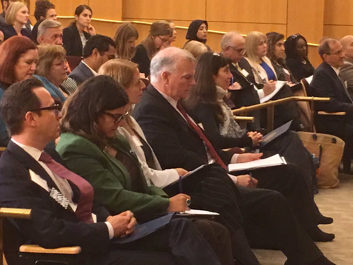 Rita Stephan tweet media