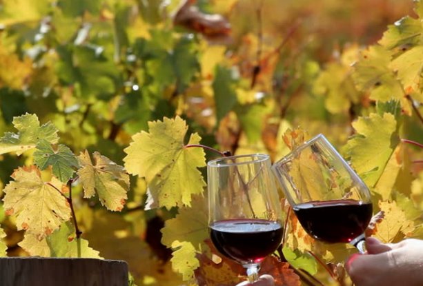 Achaval-Ferrer USA tweet media