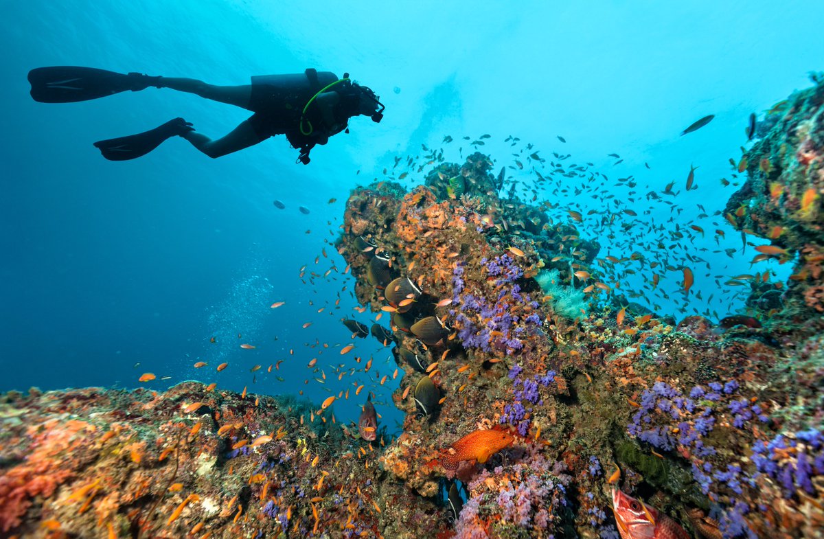 CharterClickEU's tweet photo. Happy diving - here are our three favourite diving spots. https://t.co/pPLArUZ3iJ https://t.co/xfFxOEAmFF