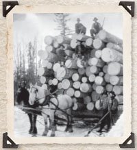 NRCan's tweet photo. Read a short history of #CDNforests in our latest report on the State of 🇨🇦’s #forests https://t.co/YvYkYrugSK https://t.co/tn5g5bdFTu