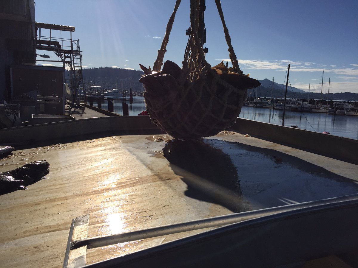 Matt Raff (@MLRAFF) | Twitter