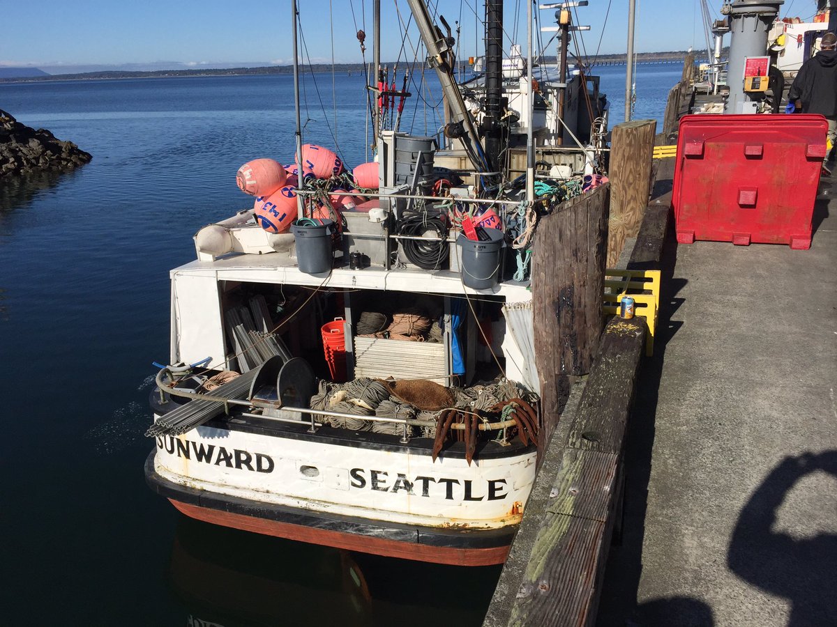 Matt Raff (@MLRAFF) | Twitter