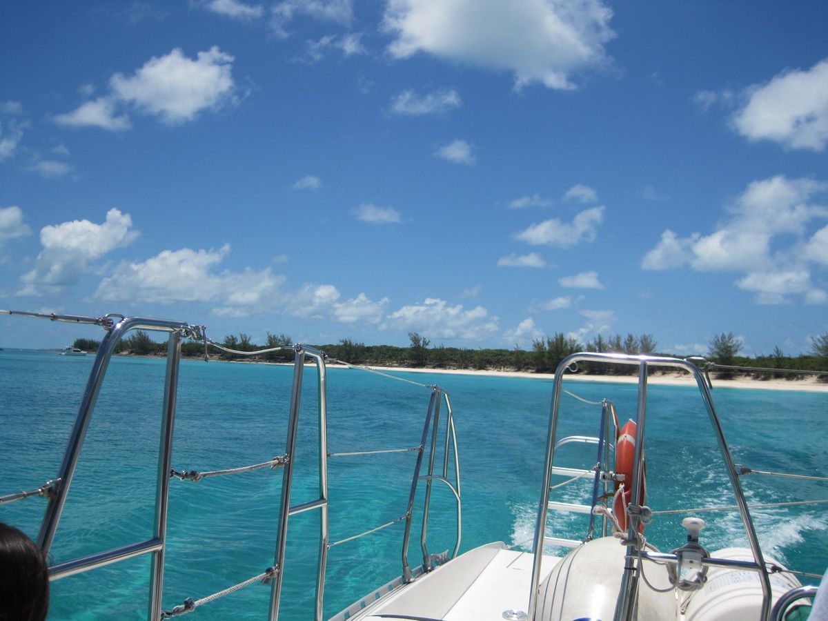 AboutCruises tweet picture