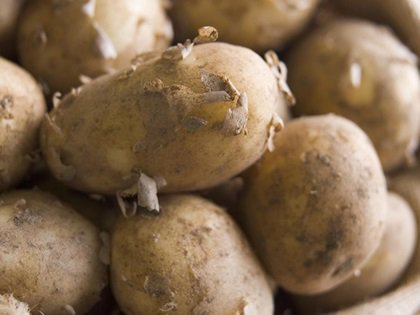 TheGrocer's tweet photo. 'Lack of understanding' by government over fruit and veg sector's labour concerns, warns Produce Investments (£) https://t.co/vNkrUvv2kc https://t.co/pc8ovy2d6y