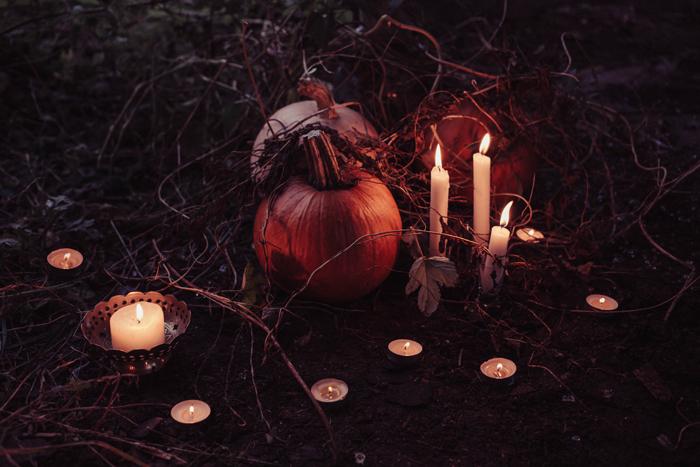 weddayideas's tweet photo. How to organise a Halloween-themed wedding https://t.co/k7PdDCoC1i

#halloweenwedding #wedding #halloween https://t.co/vx6mDCwOGa