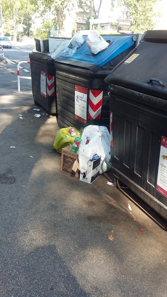 Godela27's tweet photo. @lvoir #RAGGINONBASTA ! È proprio vero! Per incenerire alcuni romani, porci-sporchi-idioti ed animali, servirebbero #RAGGILASER ! Magari questi animali criticano pure L'AMA, l'Amministrazione etc. VERGOGNATEVI, PORCI ! https://t.co/nK6m8zvraQ