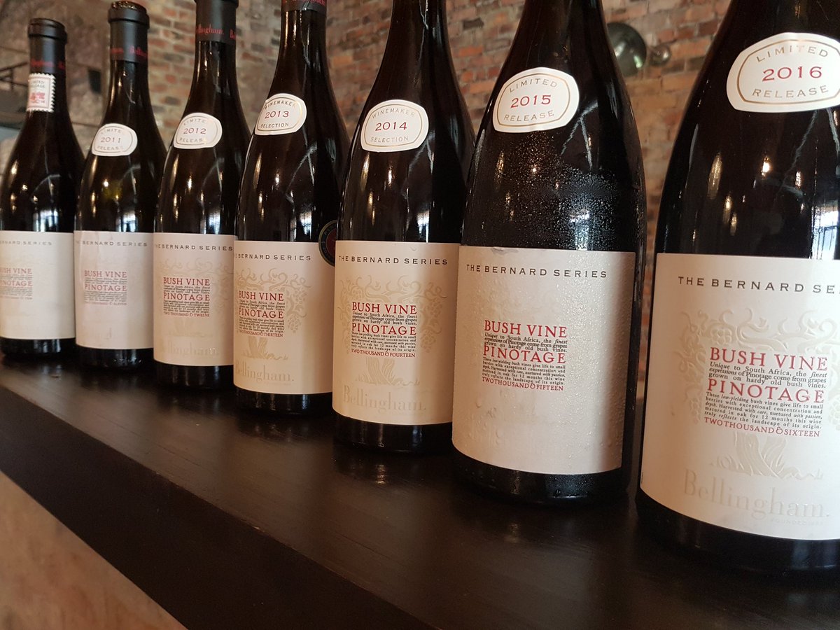 Marguerite Beukes tweet media