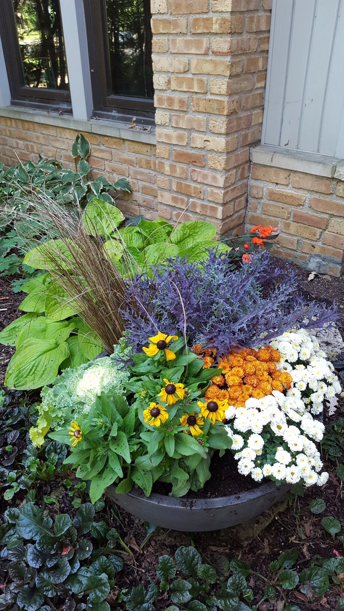 PhillipsGarden's tweet photo. We love fall plantings! Mums, kale, grasses, black-eyed susans. https://t.co/FI50w5s5ft