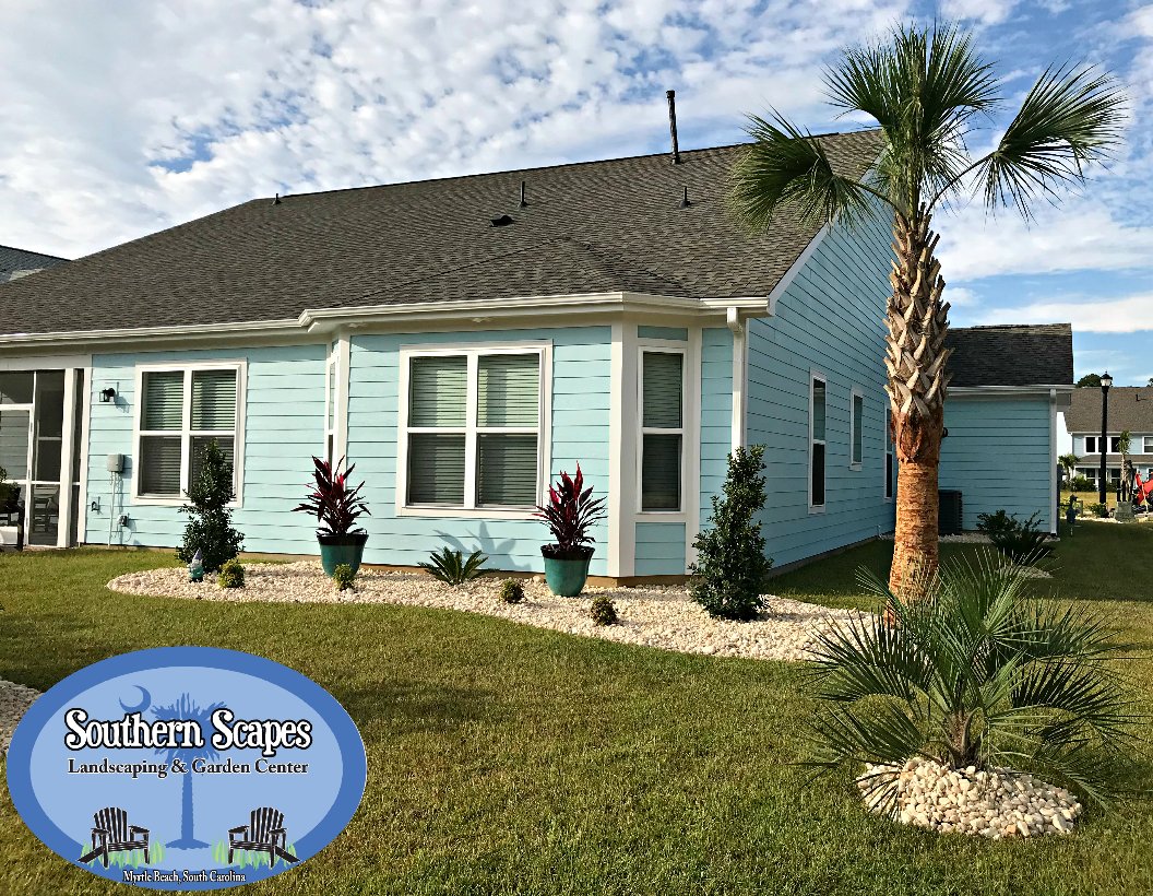 SouthrnScapes's tweet photo. Regenerated #Sabal Palms, Windmills, and Rock enhanced this customer's gorgeous home! #Landscaping #MyrtleBeach #Palms #ShopLocal https://t.co/E9INnKl2x5