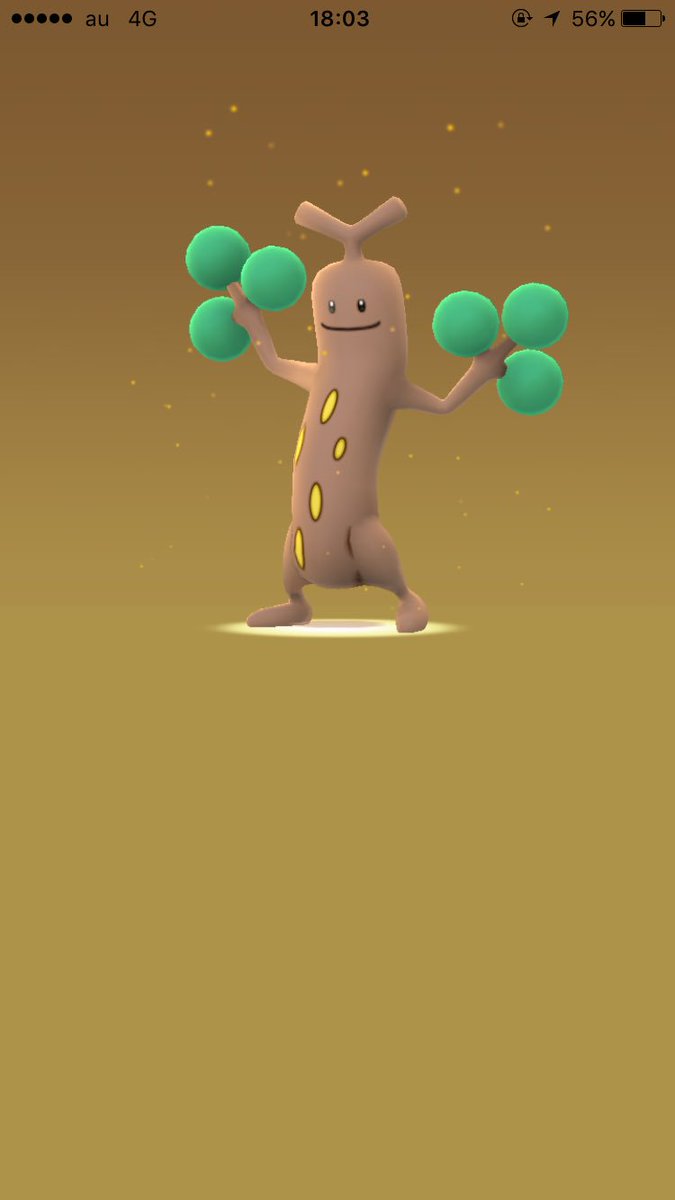 pfm_sc's tweet photo. 絶望っていうのはこういう事🙂

#ポケモンGO #10キロタマゴ #孵化 https://t.co/2YelWSWt0R